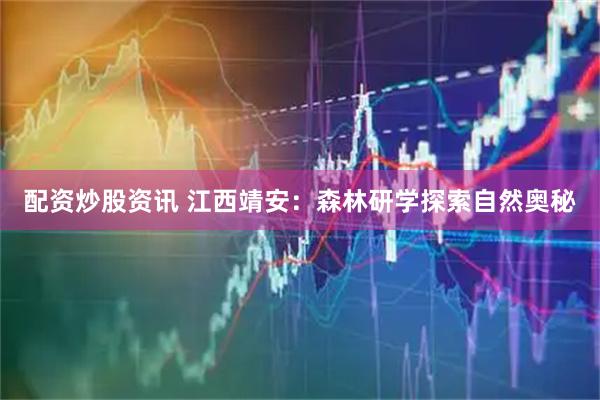 配资炒股资讯 江西靖安：森林研学探索自然奥秘